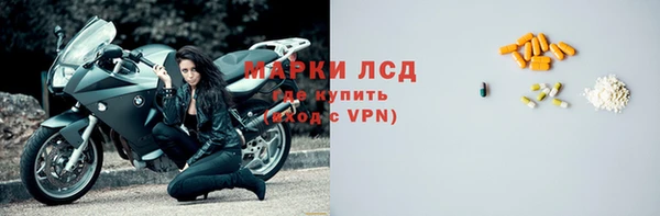 стаф Белокуриха