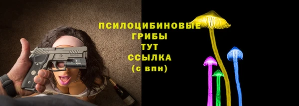 эйфоретик Беломорск
