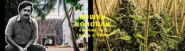 сатива Балахна