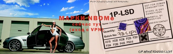 стаф Белокуриха